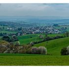 Frühling in der Westpfalz