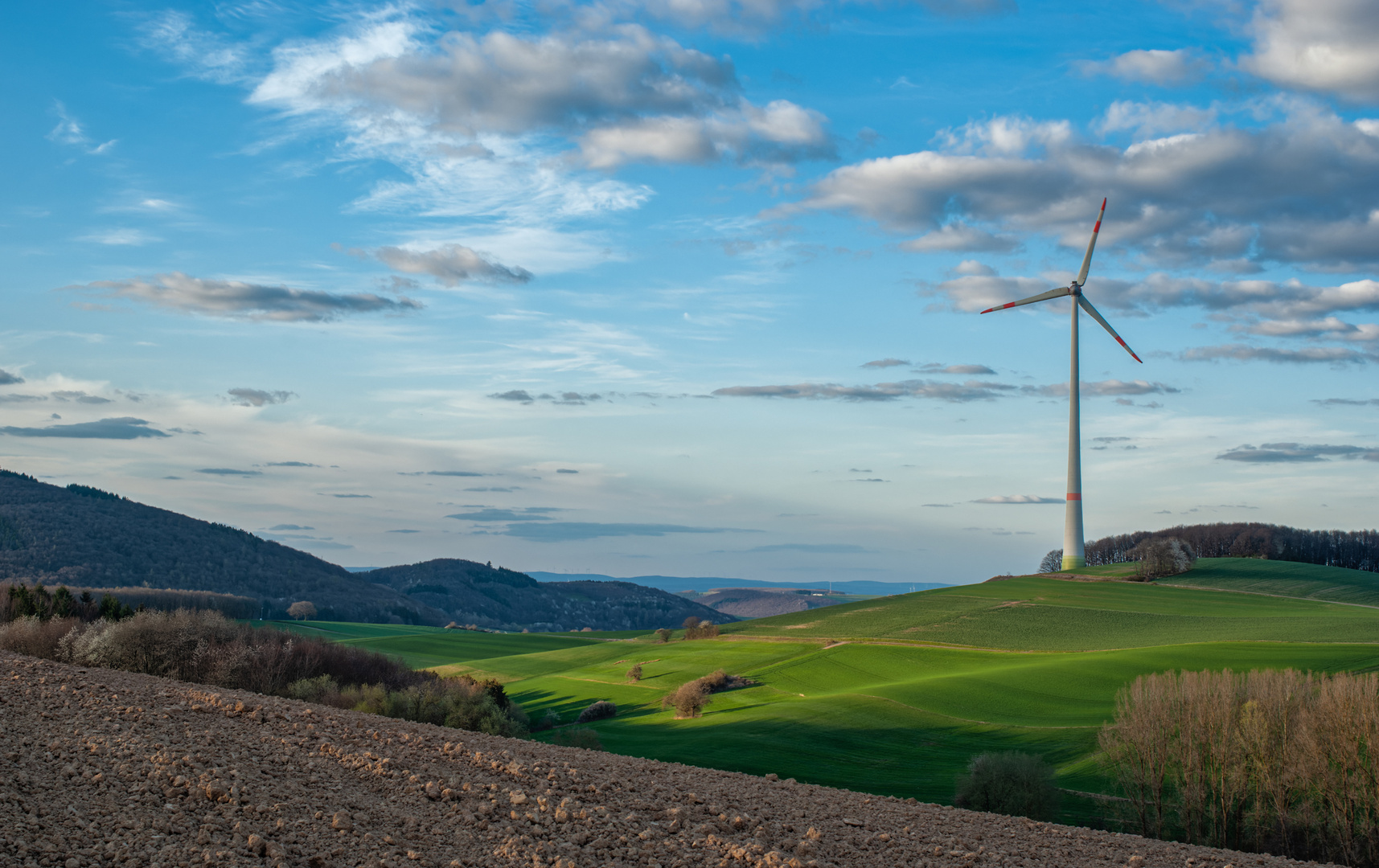 Frühling in der Westpfalz