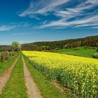 Frühling in der Westpfalz