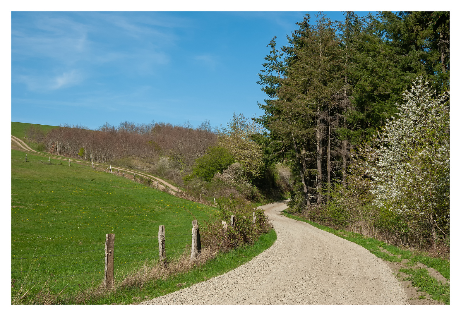 Frühling in der Westpfalz I