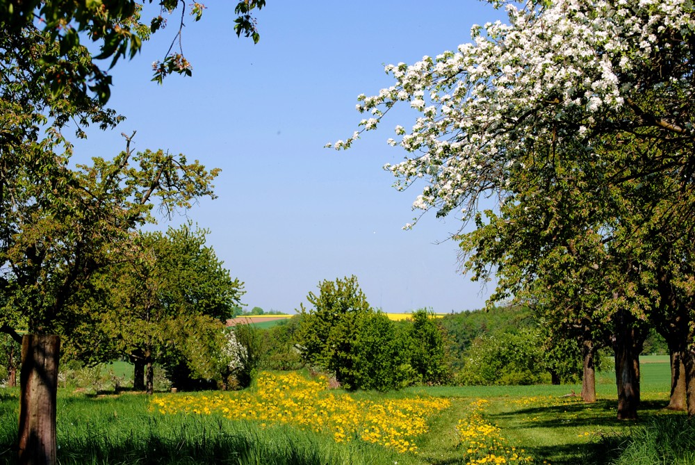 Frühling in der Wetterau