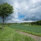 Frühling in der Wetterau