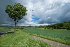 Frühling in der Wetterau