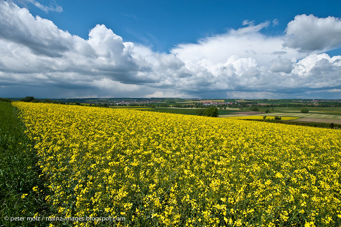 Frühling in der Wetterau / Hessen