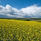 Frühling in der Wetterau / Hessen