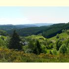 Frühling in der Wittgensteiner Schweiz