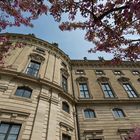 Frühling in der Würzburger Residenz