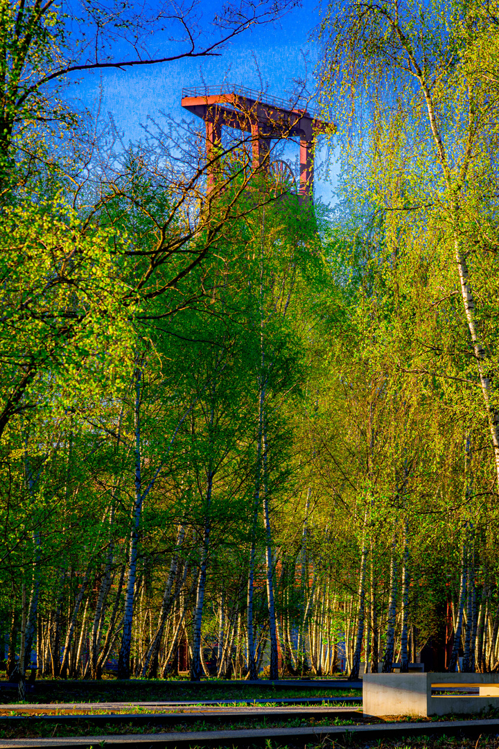 Frühling in der Zeche