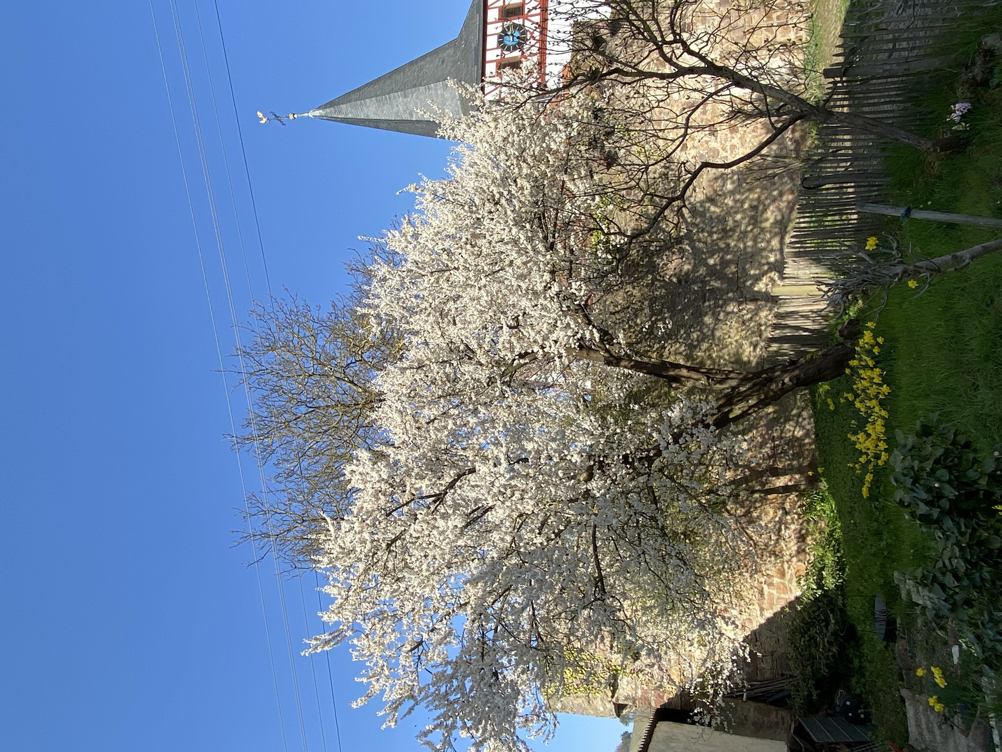 Frühling in Dertingen