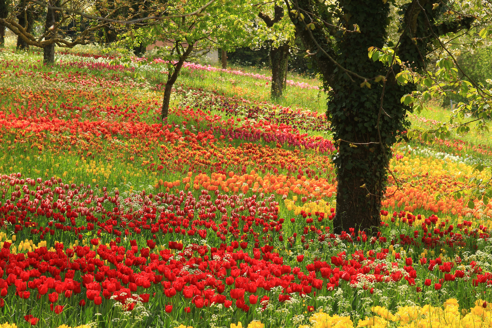 Frühling in Deutschland 2014