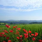 Frühling in Deutschland