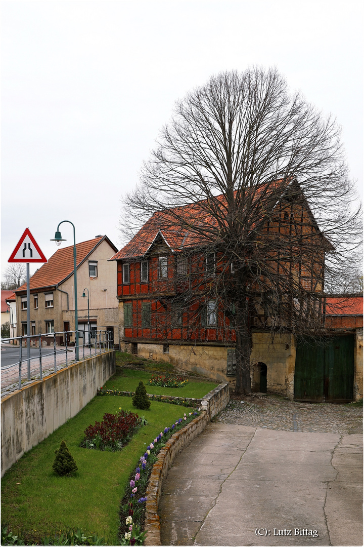 Frühling in Ditfurt (Sachsen-Anhalt)