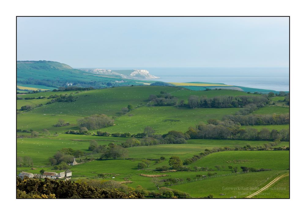 Frühling in Dorset