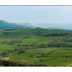 Frühling in Dorset