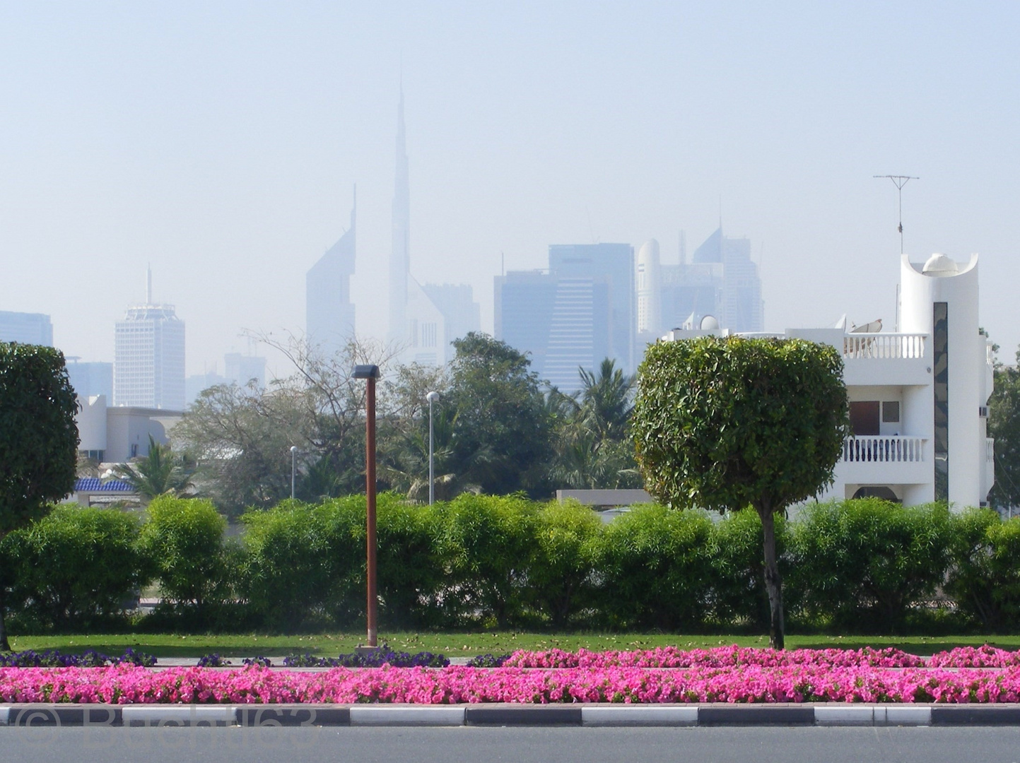 Frühling in Dubai