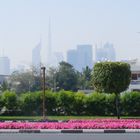 Frühling in Dubai