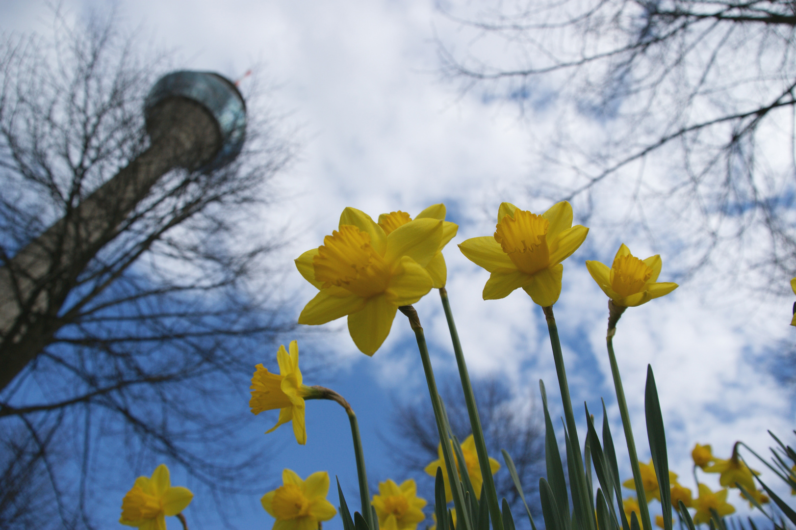 Frühling in Düsseldorf