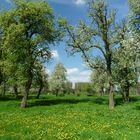 Frühling in Düsseldorf