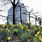 Frühling in Düsseldorf