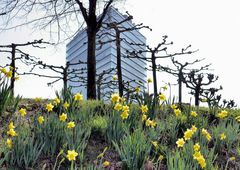 Frühling in Düsseldorf