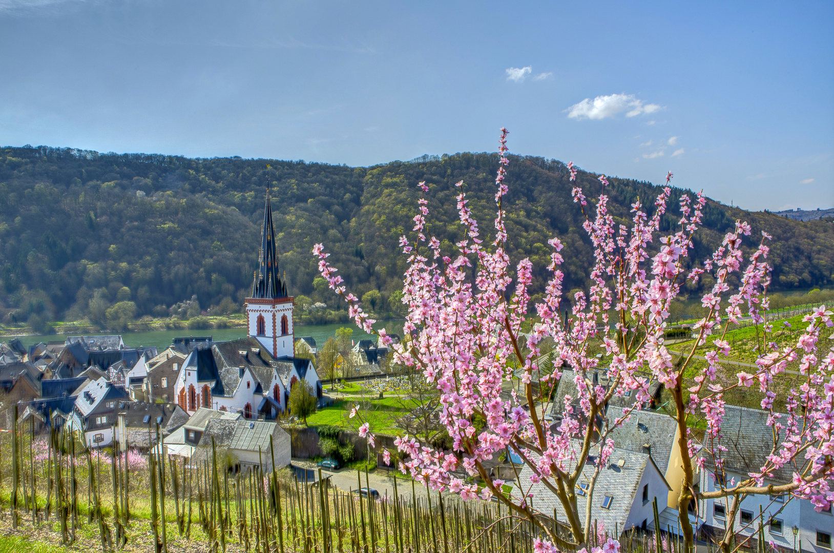 Frühling in Ediger-Eller