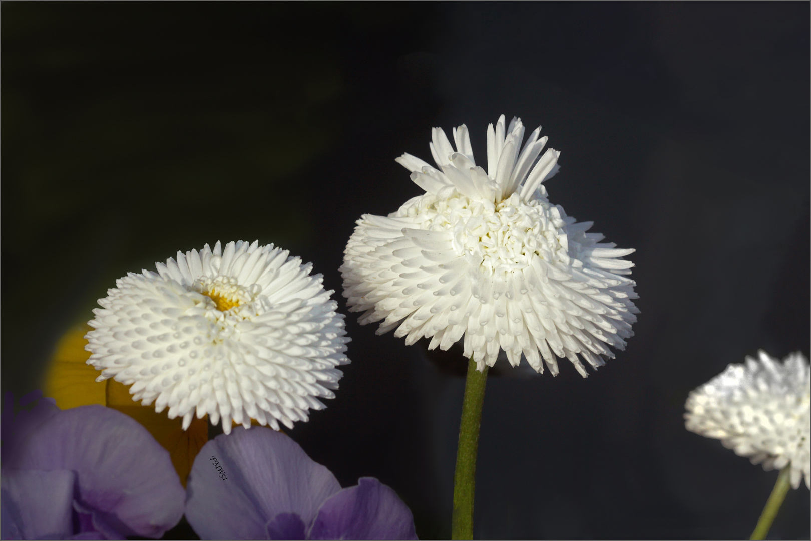 Frühling in einem Körbchen auf dem Terrassentisch