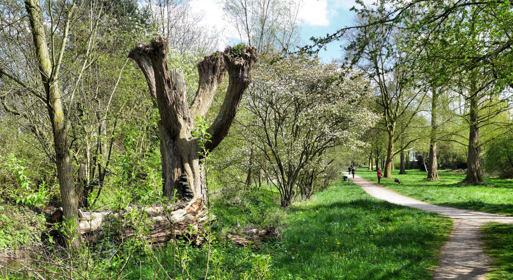 Frühling in einer Kölner Bachaue