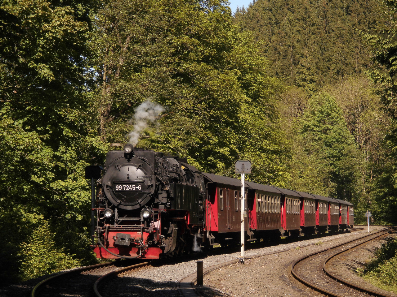 Frühling in Eisfelder Talmühle 1.