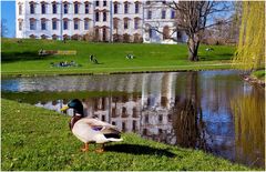 Frühling in Entenhausen