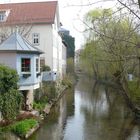 frühling in erfurt