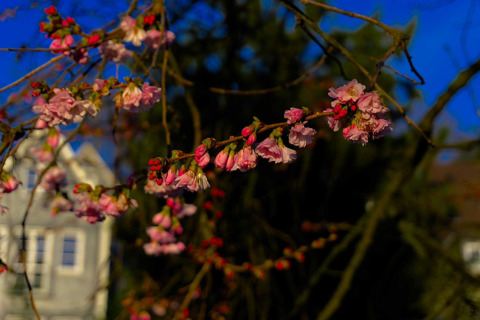 Frühling in Essen