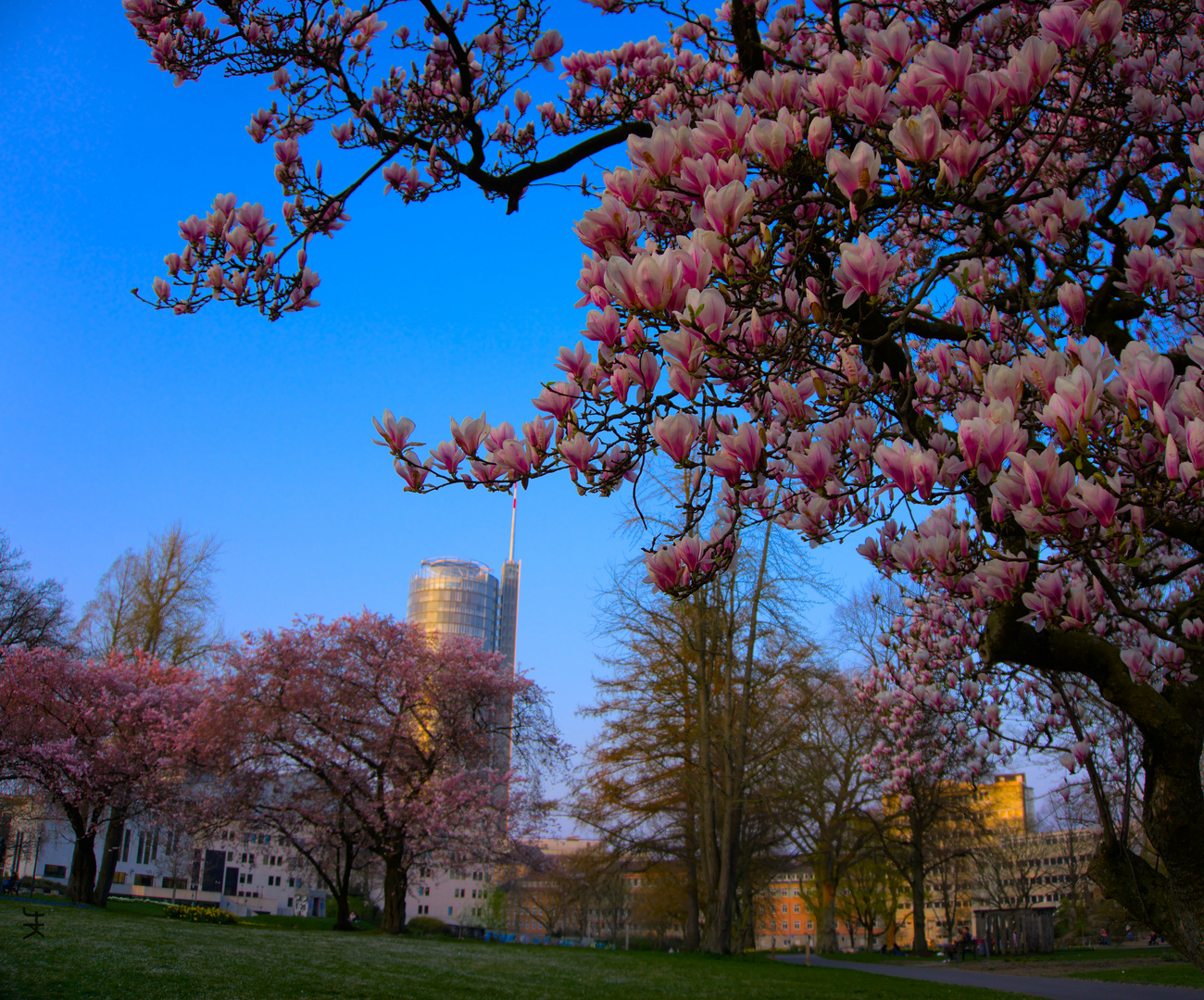 Frühling in Essen