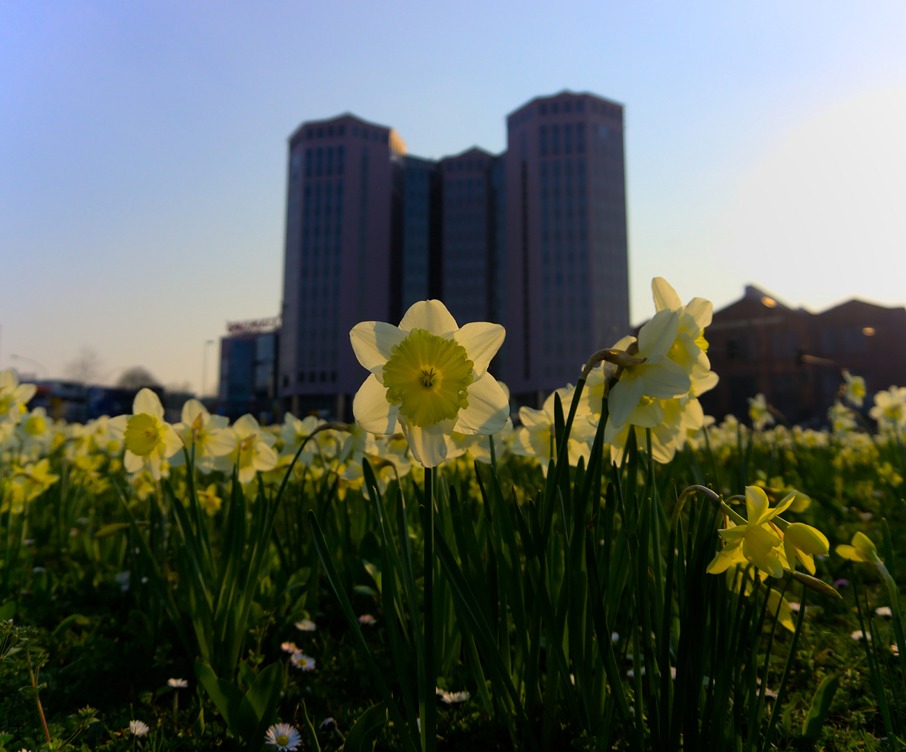 Frühling in Essen