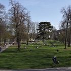 Frühling in Esslingen, der Stadtpark