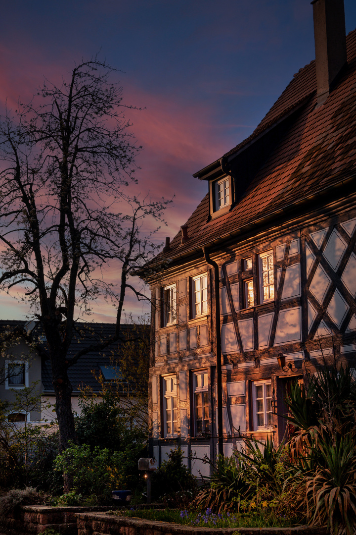 Frühling in Ettenheim