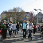 Frühling in Favoriten