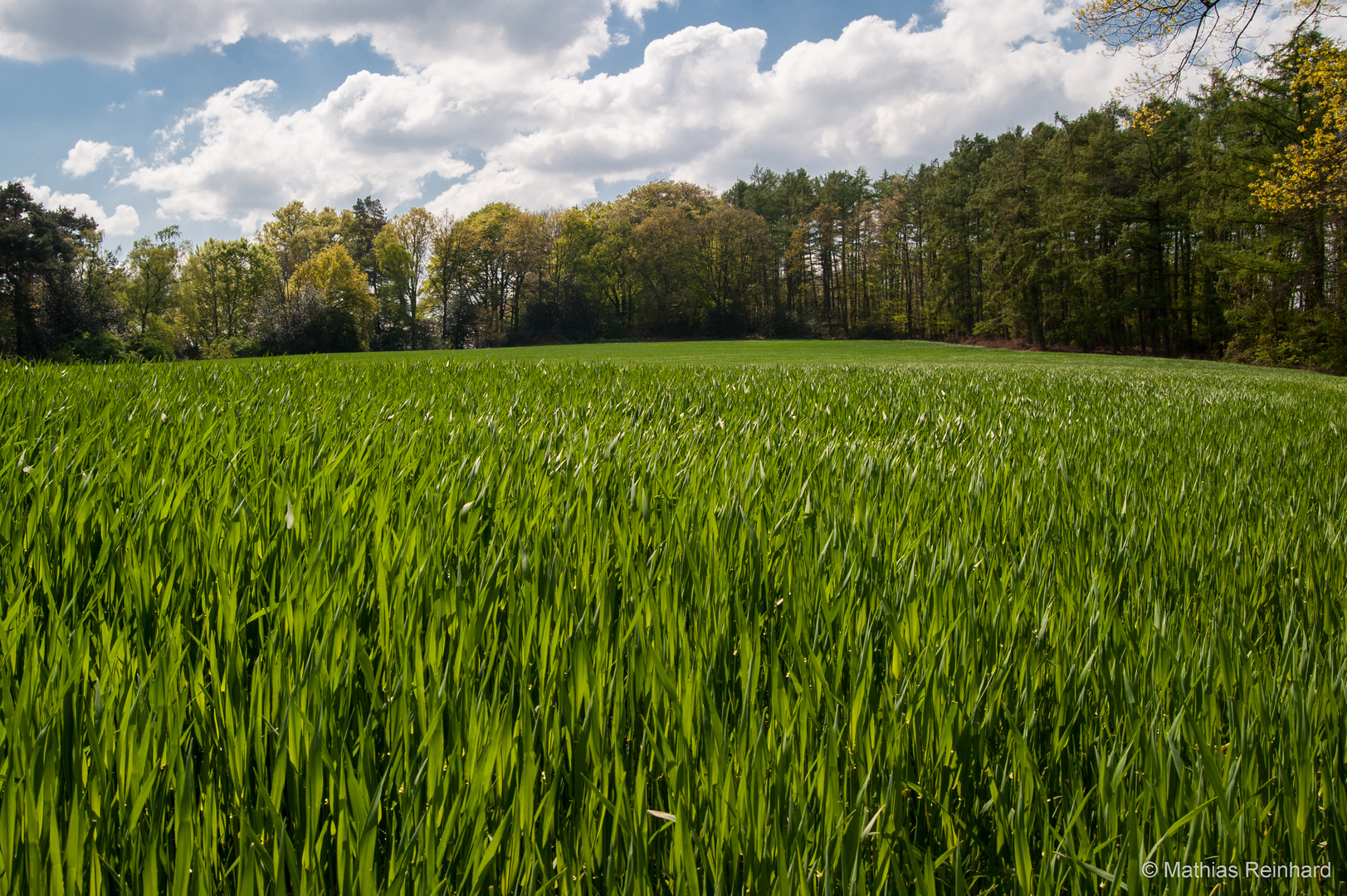 Frühling in Feld und Flur