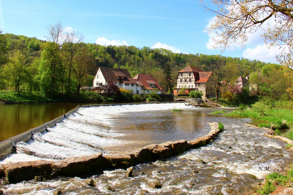 Frühling in Forchtenberg