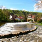 Frühling in Forchtenberg