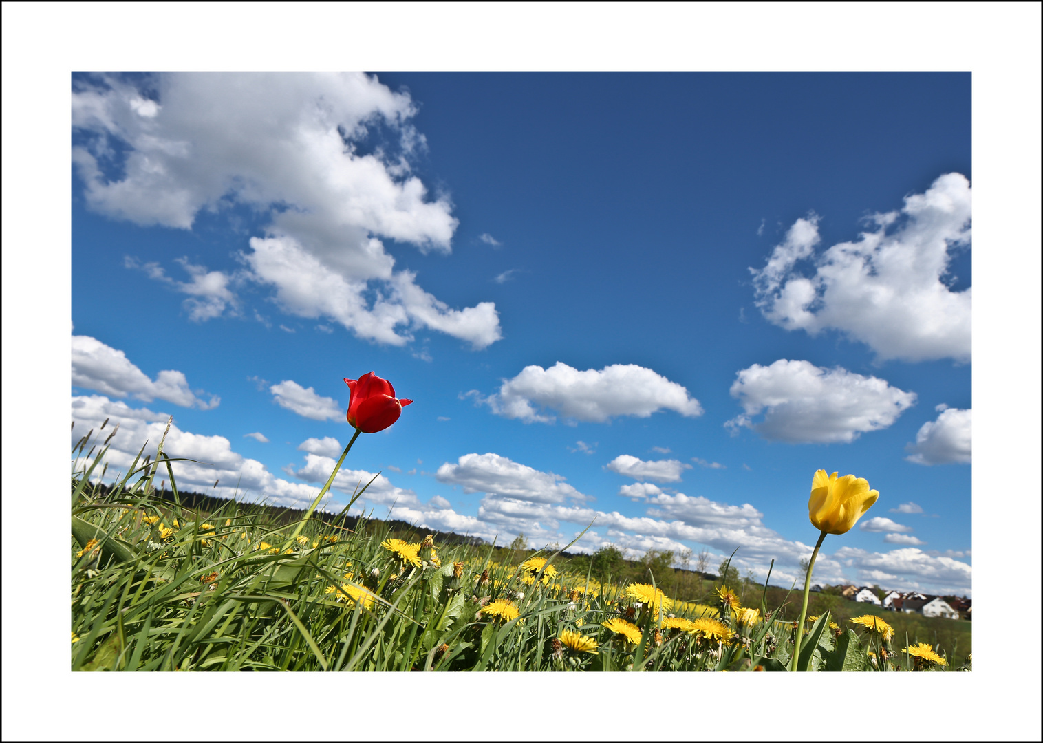 Frühling in Franken