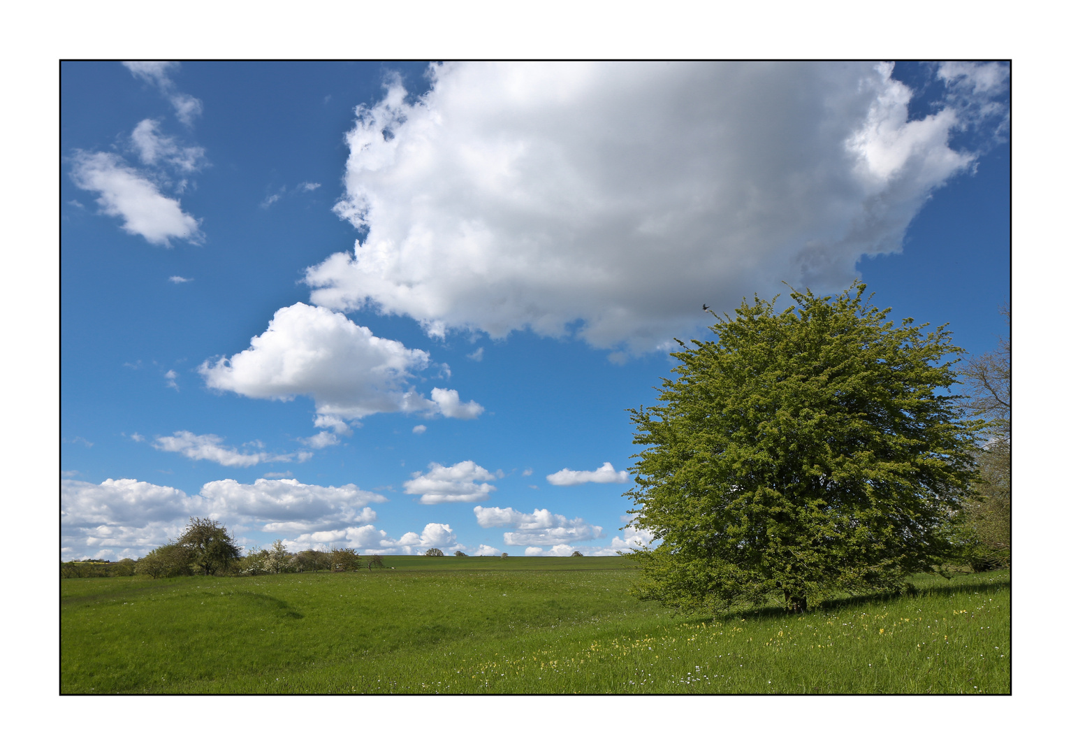 Frühling in Franken 2