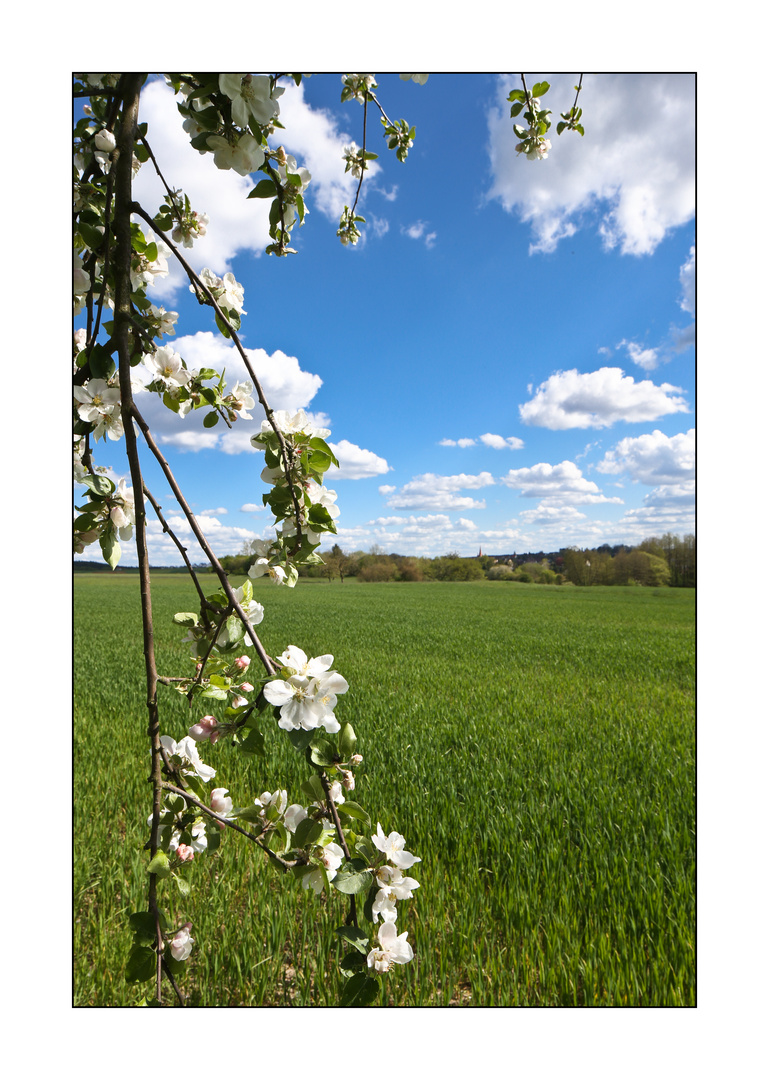 Frühling in Franken 3