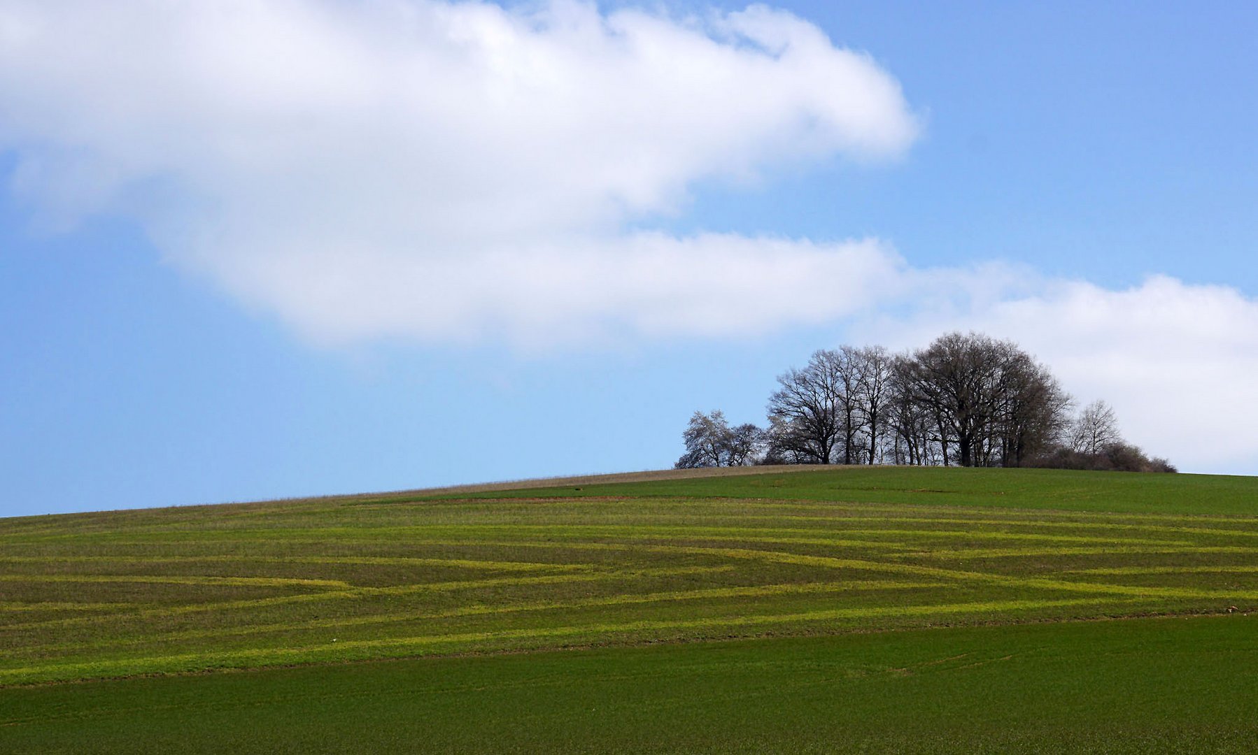 Frühling in Franken