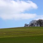 Frühling in Franken