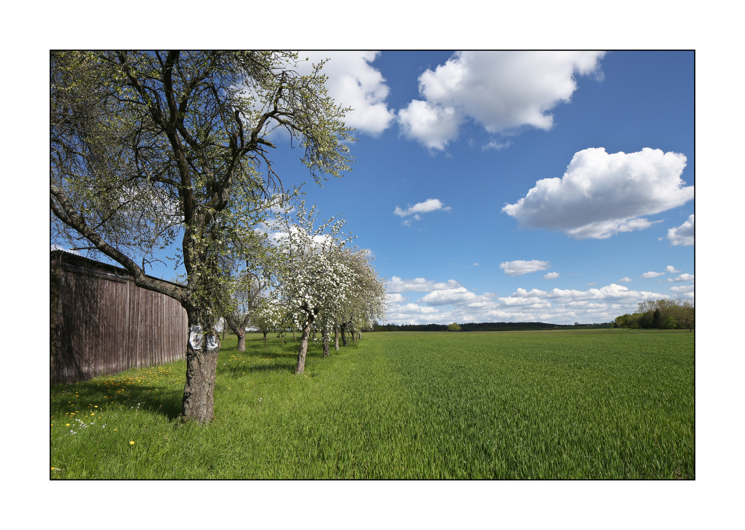 Frühling in Franken 4