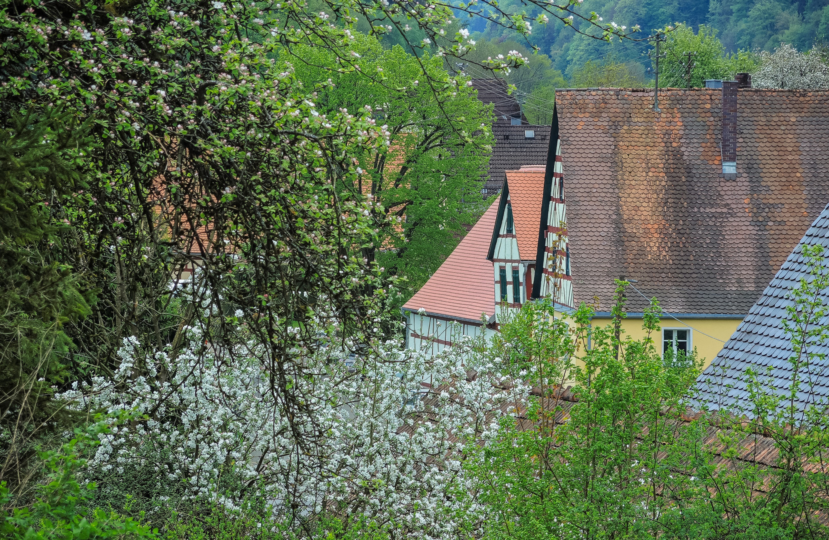 Frühling in Franken