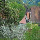 Frühling in Franken