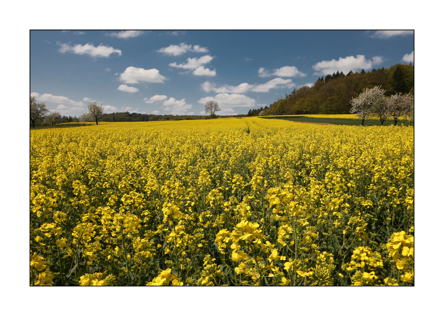 Frühling in Franken 5