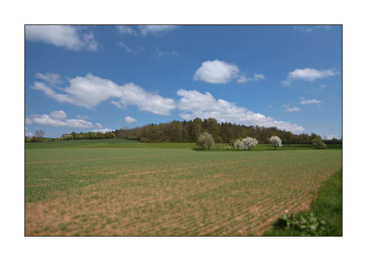 Frühling in Franken 6