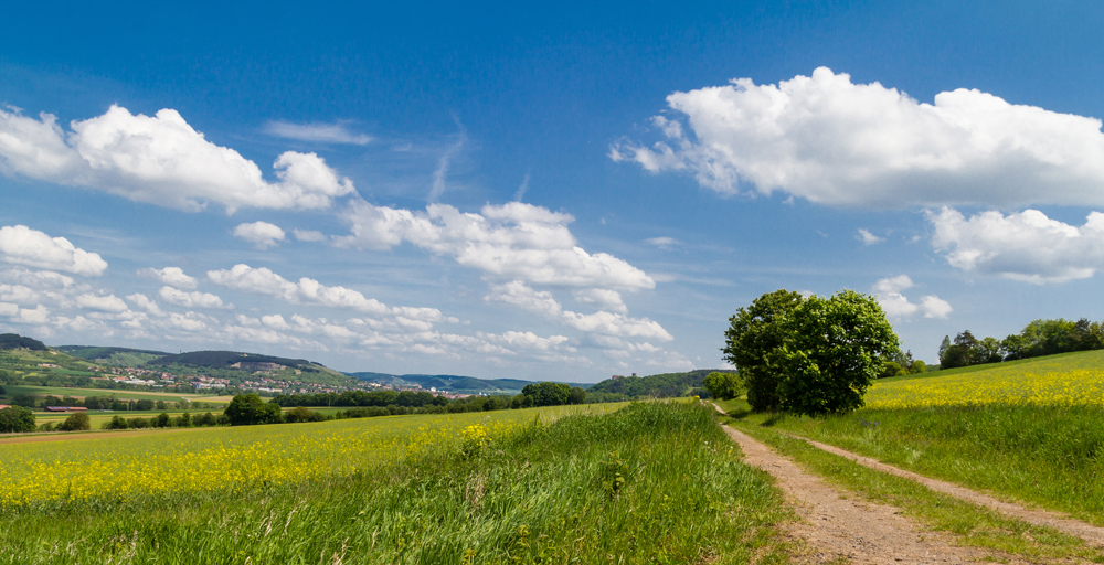 Frühling in Franken